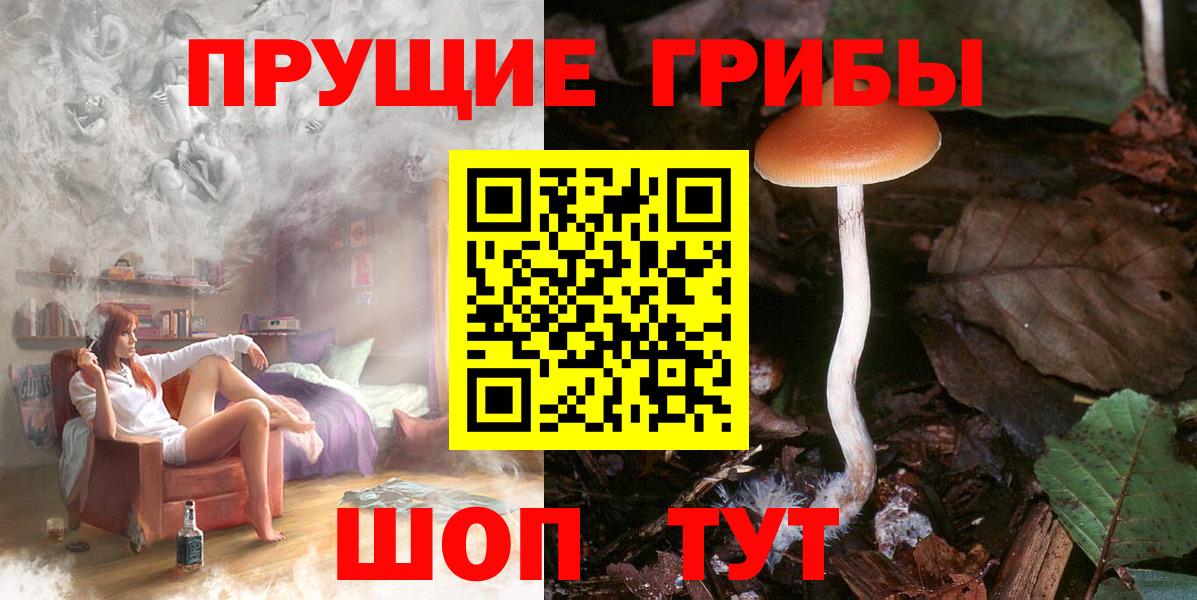 Галлюциногенные грибы ЛСД Губаха