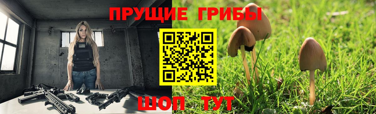 где можно купить   Псилоцибиновые грибы GOLDEN TEACHER  Вход с VPN  Губаха  Псилоцибиновые грибы мухоморы 
